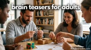 Brain Teasers for Adults